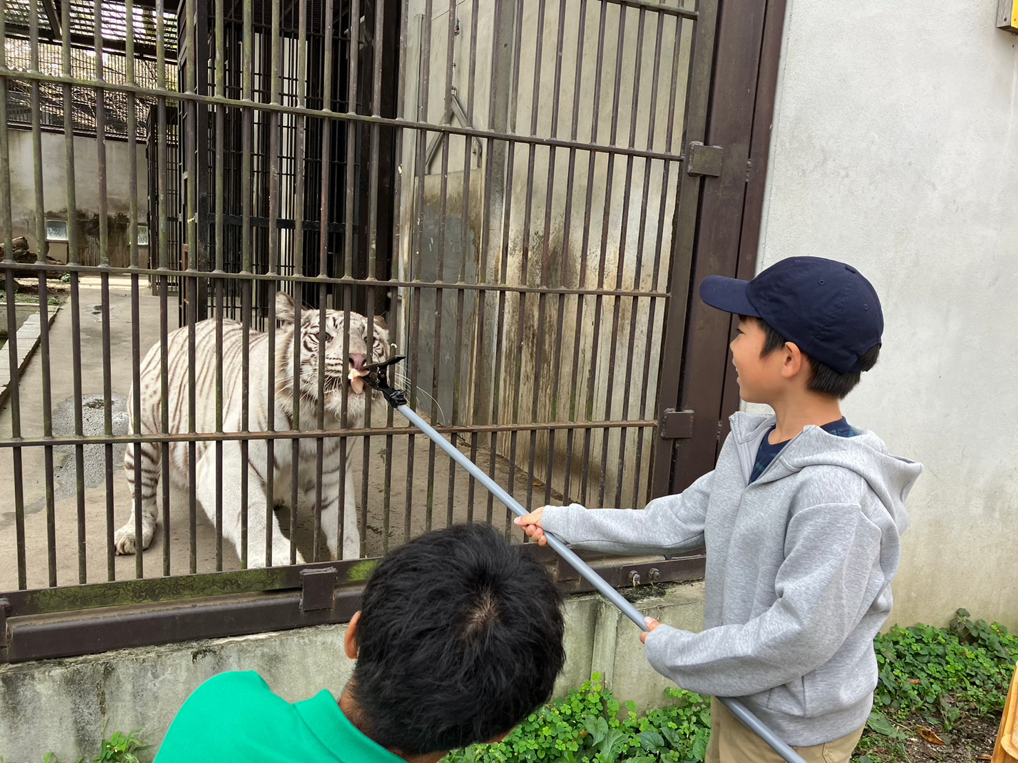 8/19出発 動物園飼育員キャンプ