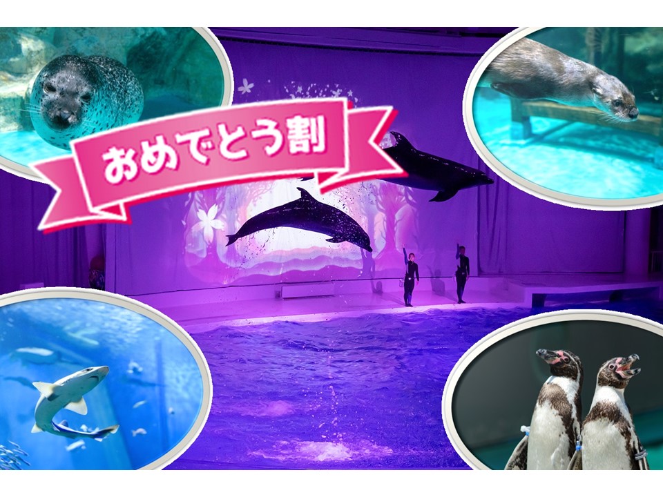 6/22出発 「サメの種類日本一」茨城大洗水族館バックヤード探険ツアー