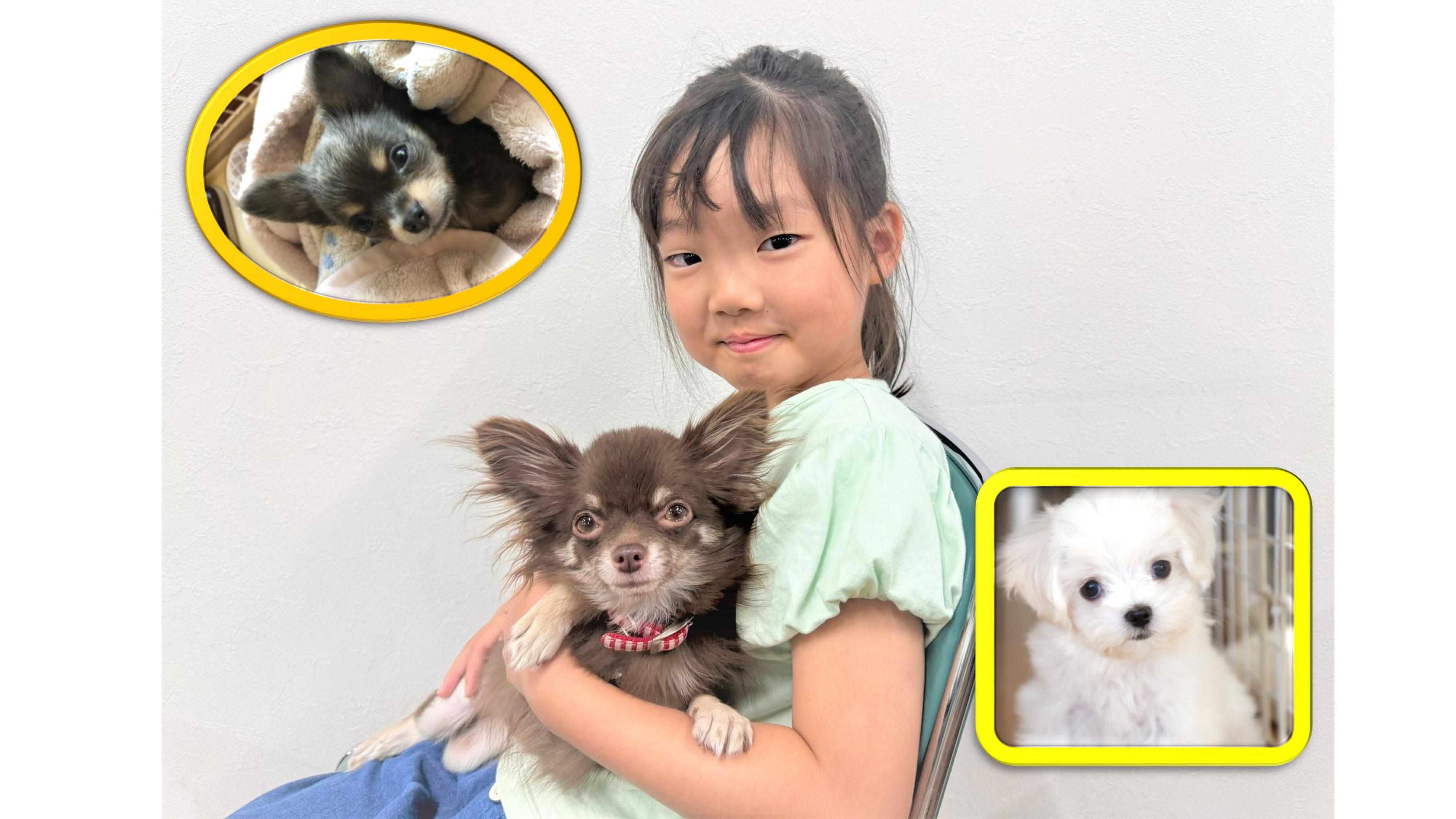 8/18出発 夏の子犬飼育日誌
