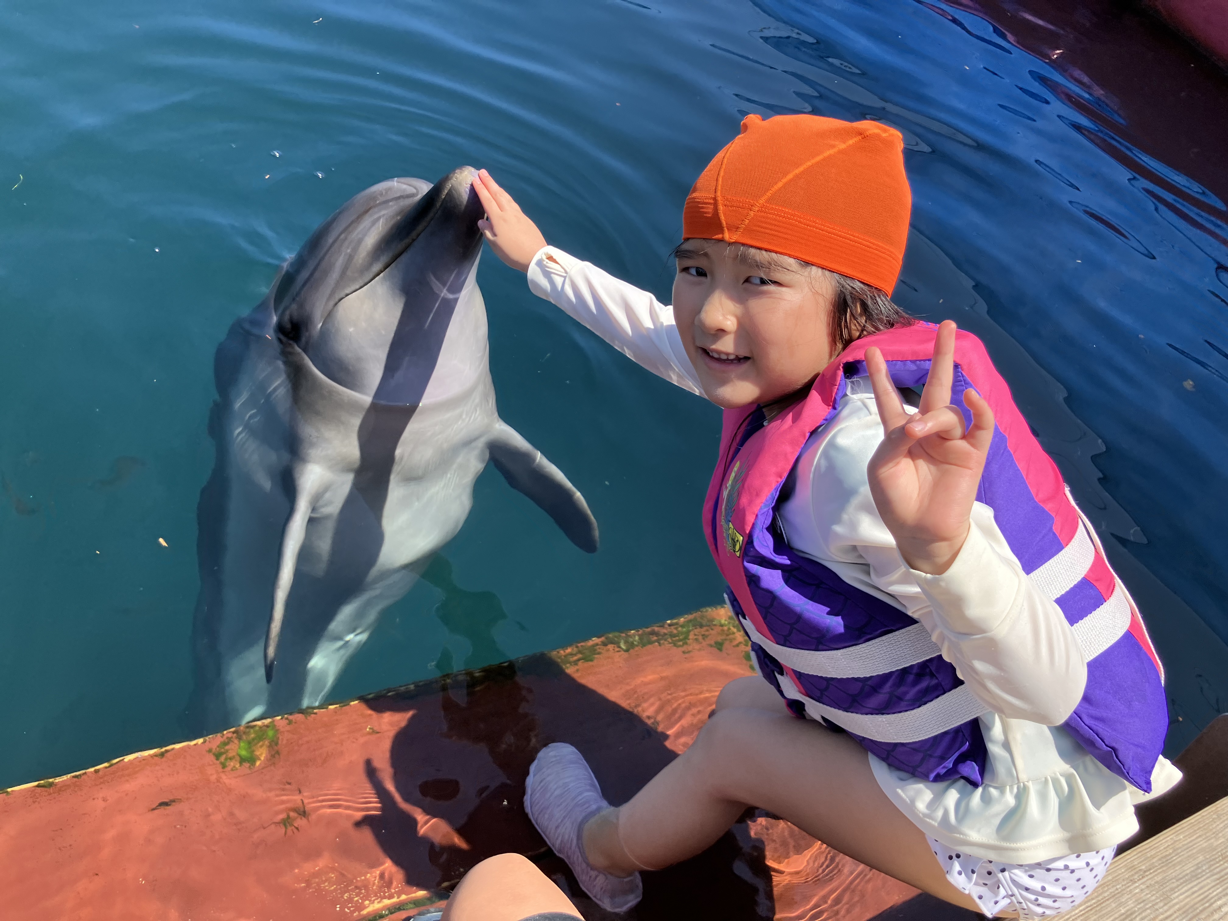 8/3出発 ドルフィンファンタジーキャンプ