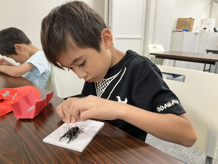 9/13出発 ファーブル昆虫教室in二子玉川【昆虫研究編・ベーシックコース】