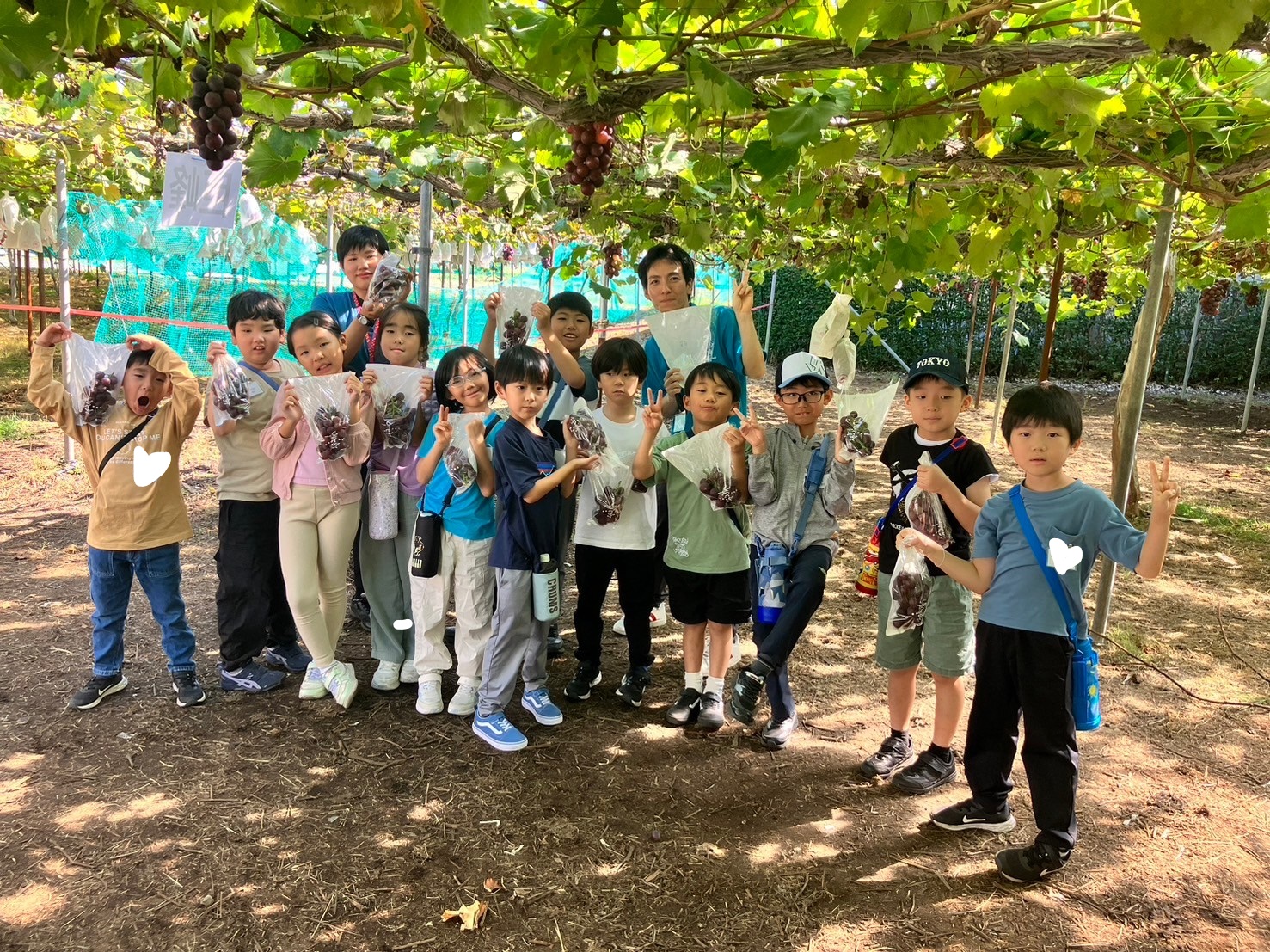 8/29出発 夏の1dayキャンプ【ぶどう狩り＆ウォーターアスレチック編】