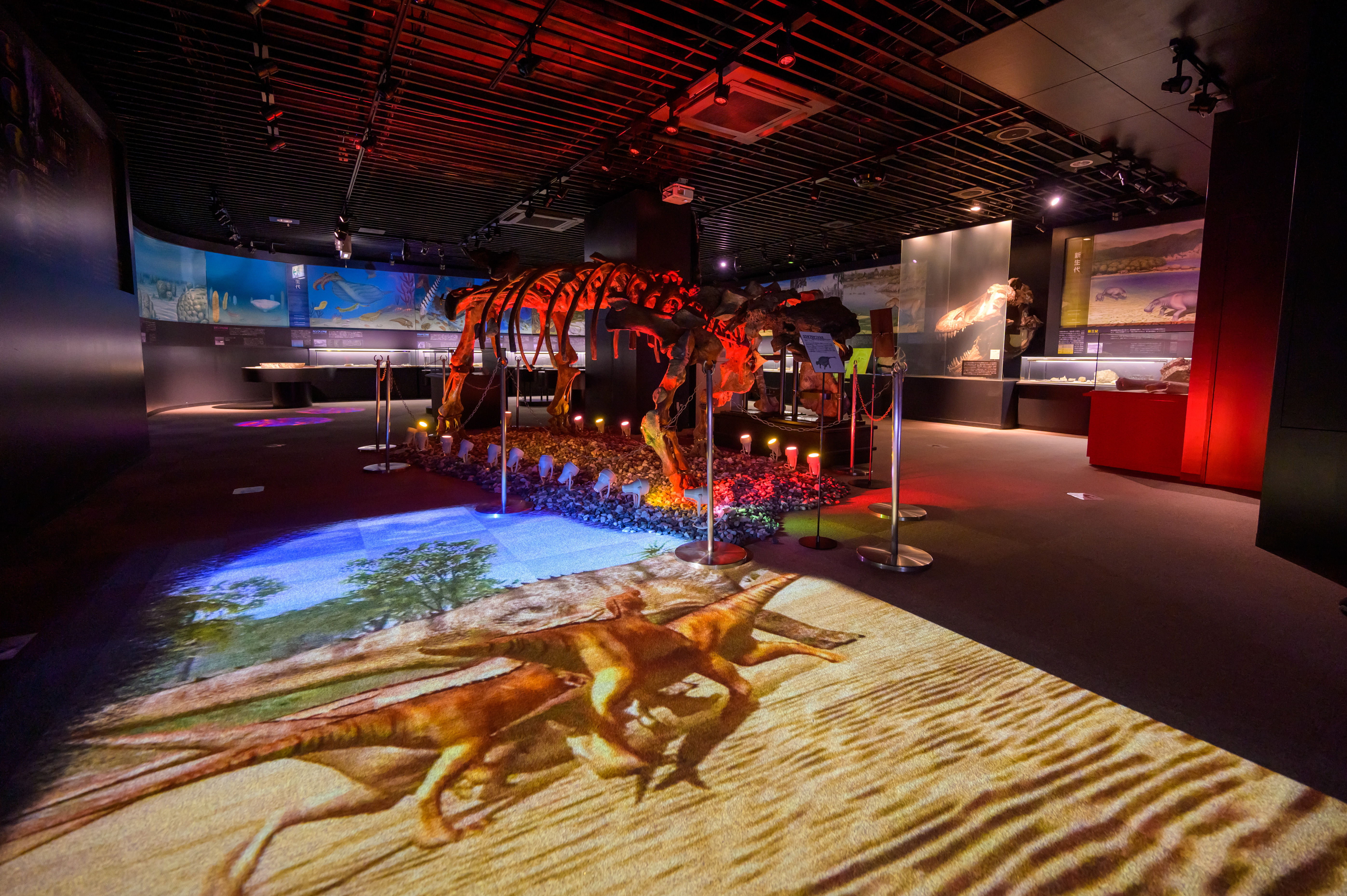 7/22出発 博物館に泊まろう！出雲ナイトミュージアムキャンプ