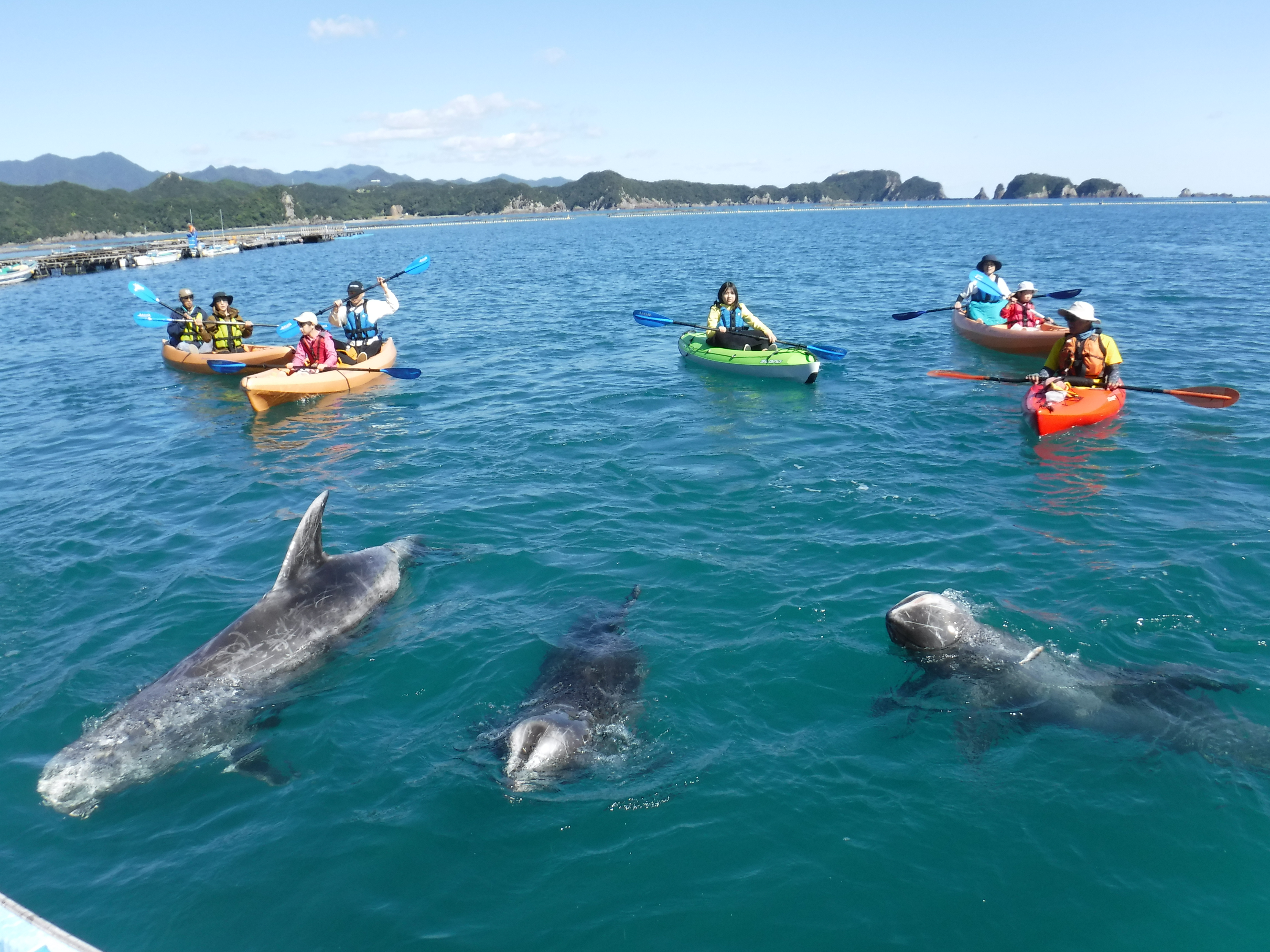 8/22出発 和歌山シーサイドアドベンチャー
