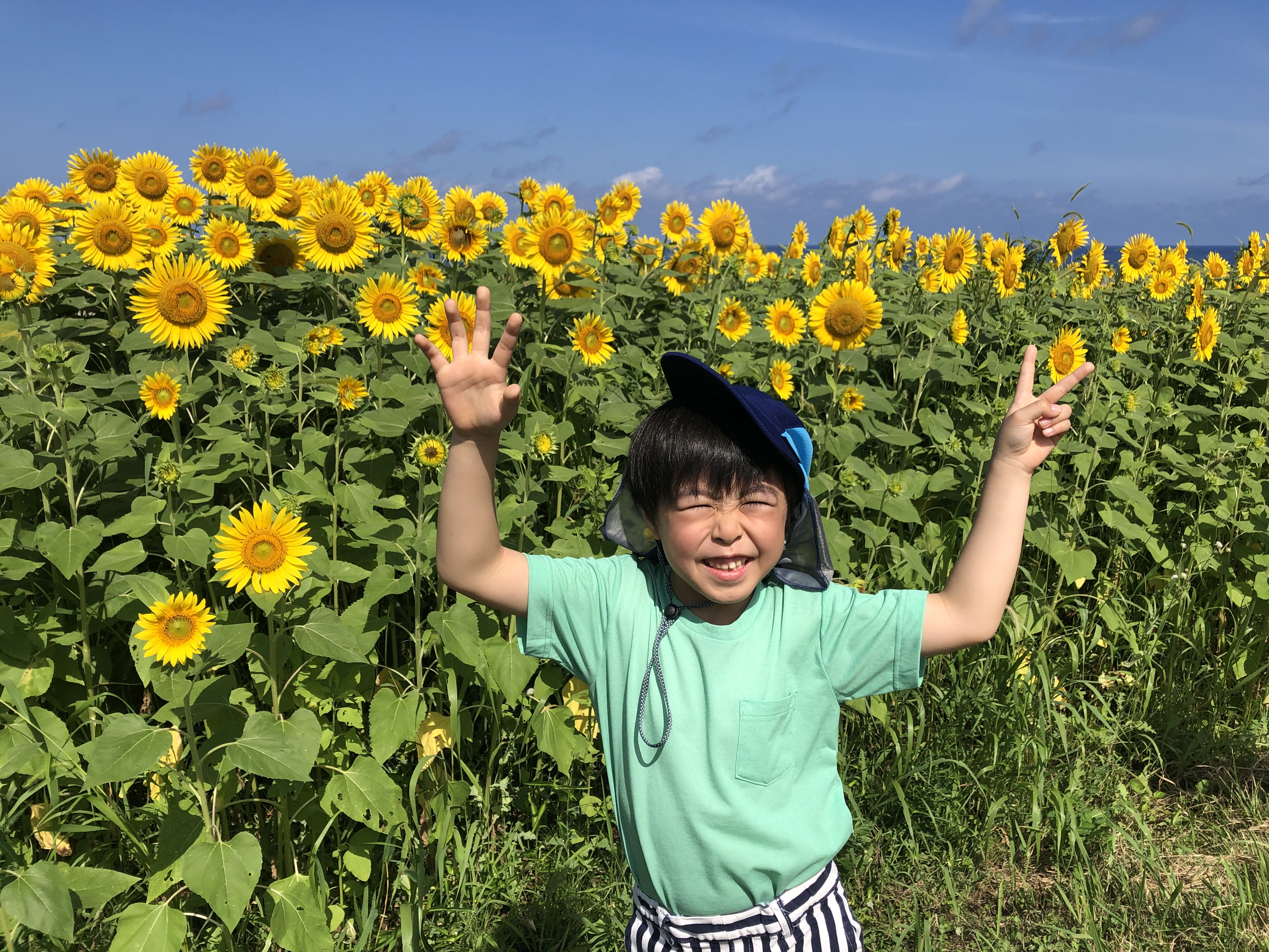 8/10出発　夏の1dayキャンプ【ひまわりラビリンス＆味覚狩り編】