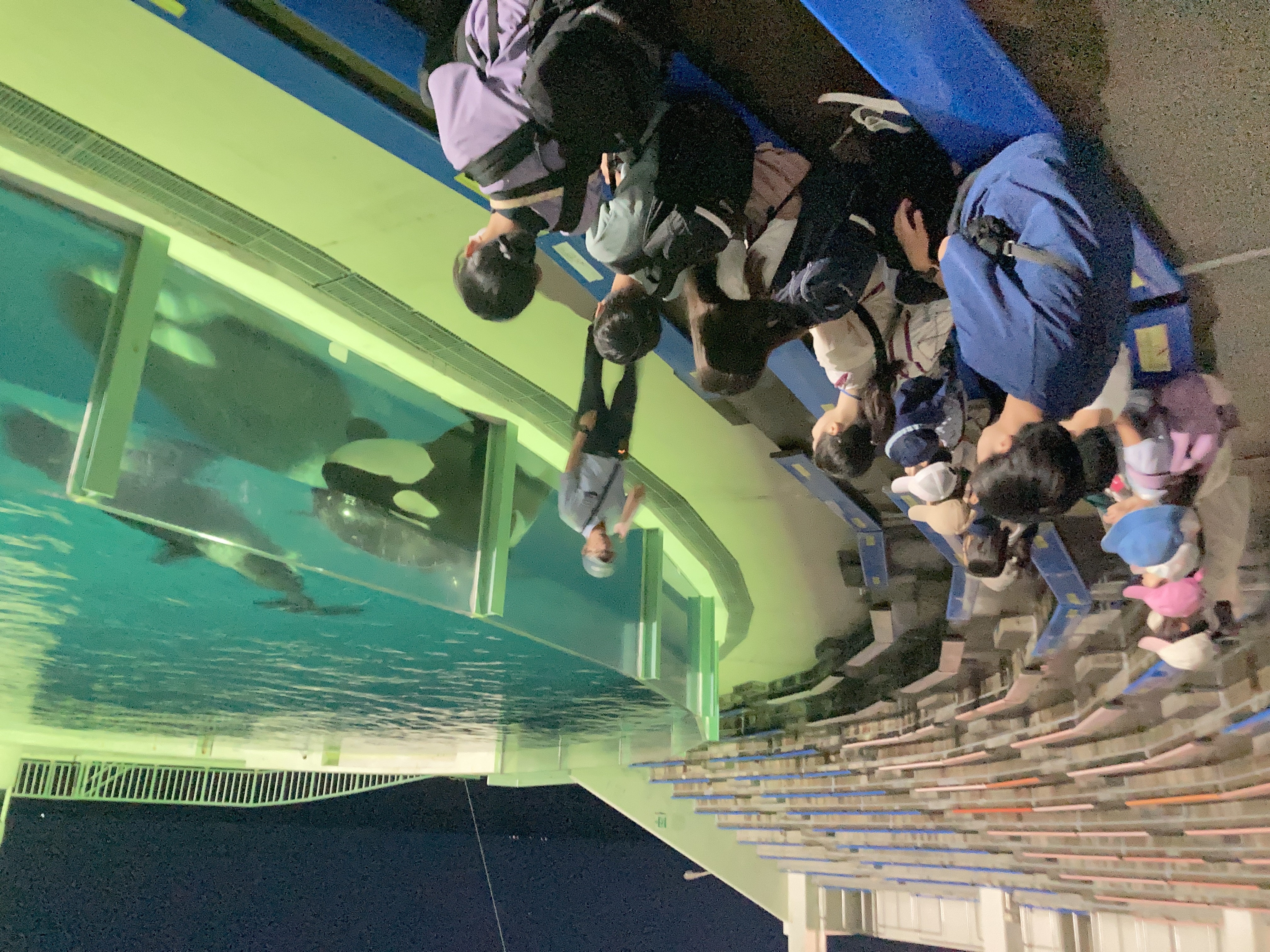 7/28出発 夜の水族館！水族館裏側探険＆アニマルアドベンチャーキャンプ
