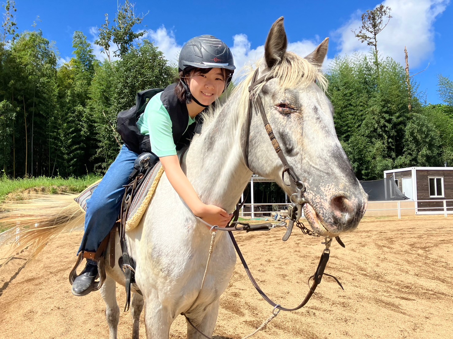 7/19出発 【12名限定】ウエスタン乗馬体験スクール【ロッキー編】