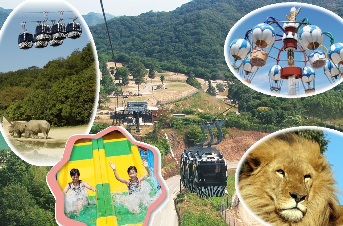 7/23出発 動物園で空中散歩！姫路スカイサファリキャンプ