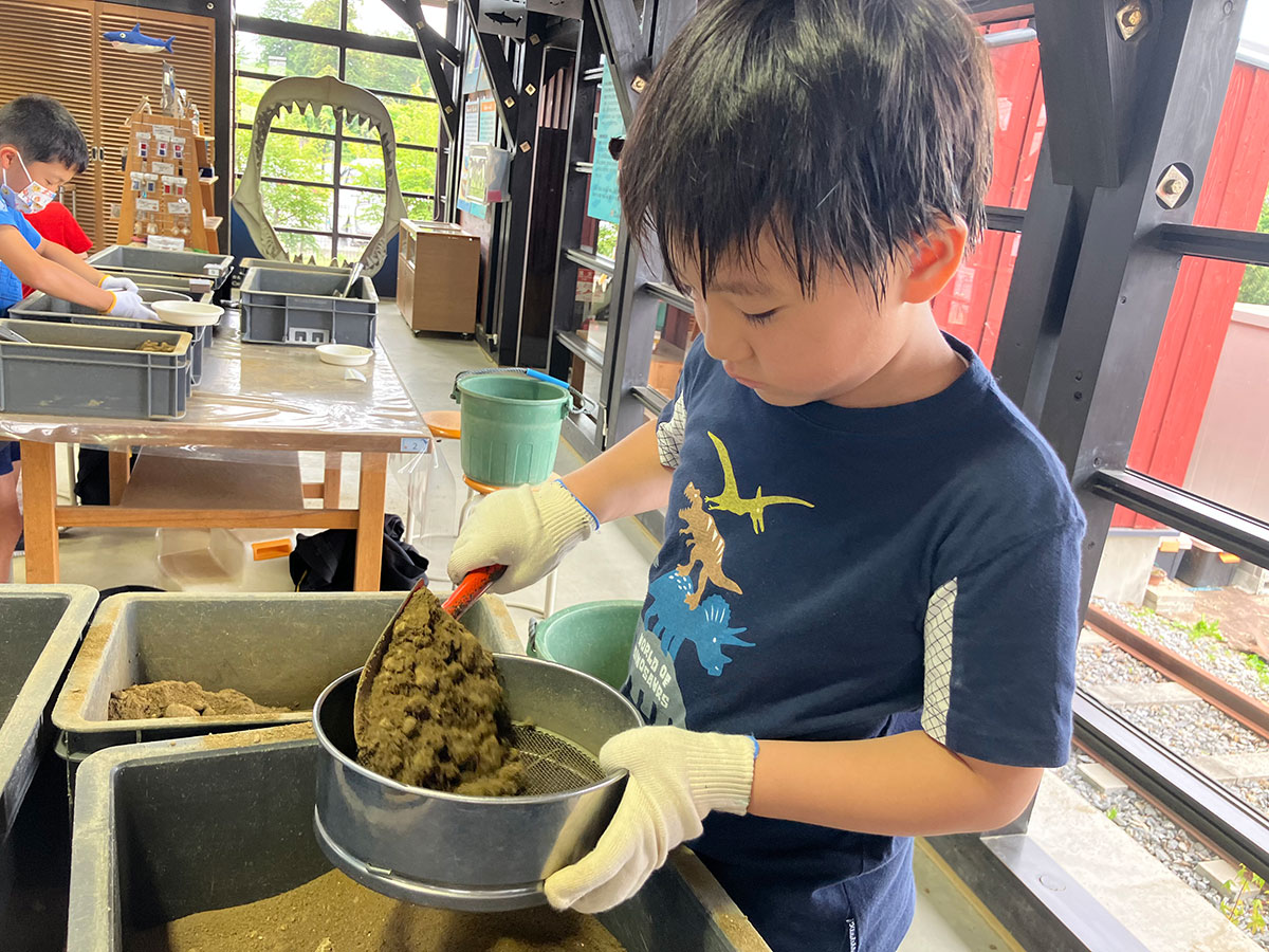 8/30出発 化石はっくつ体験スクール