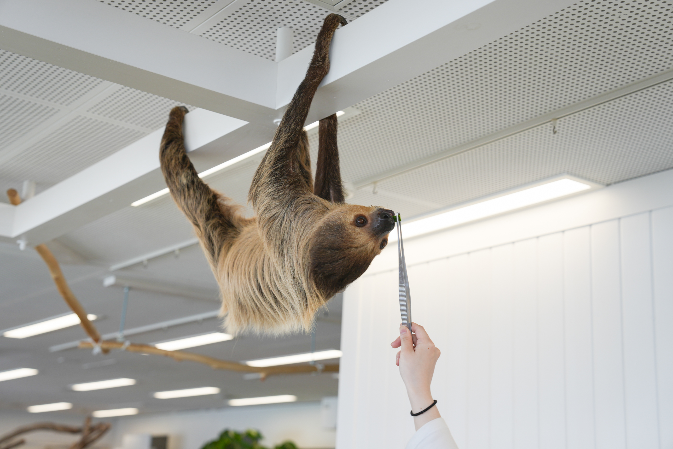 9/20出発 専門学校で学ぶ動物おしごと体験ツアー