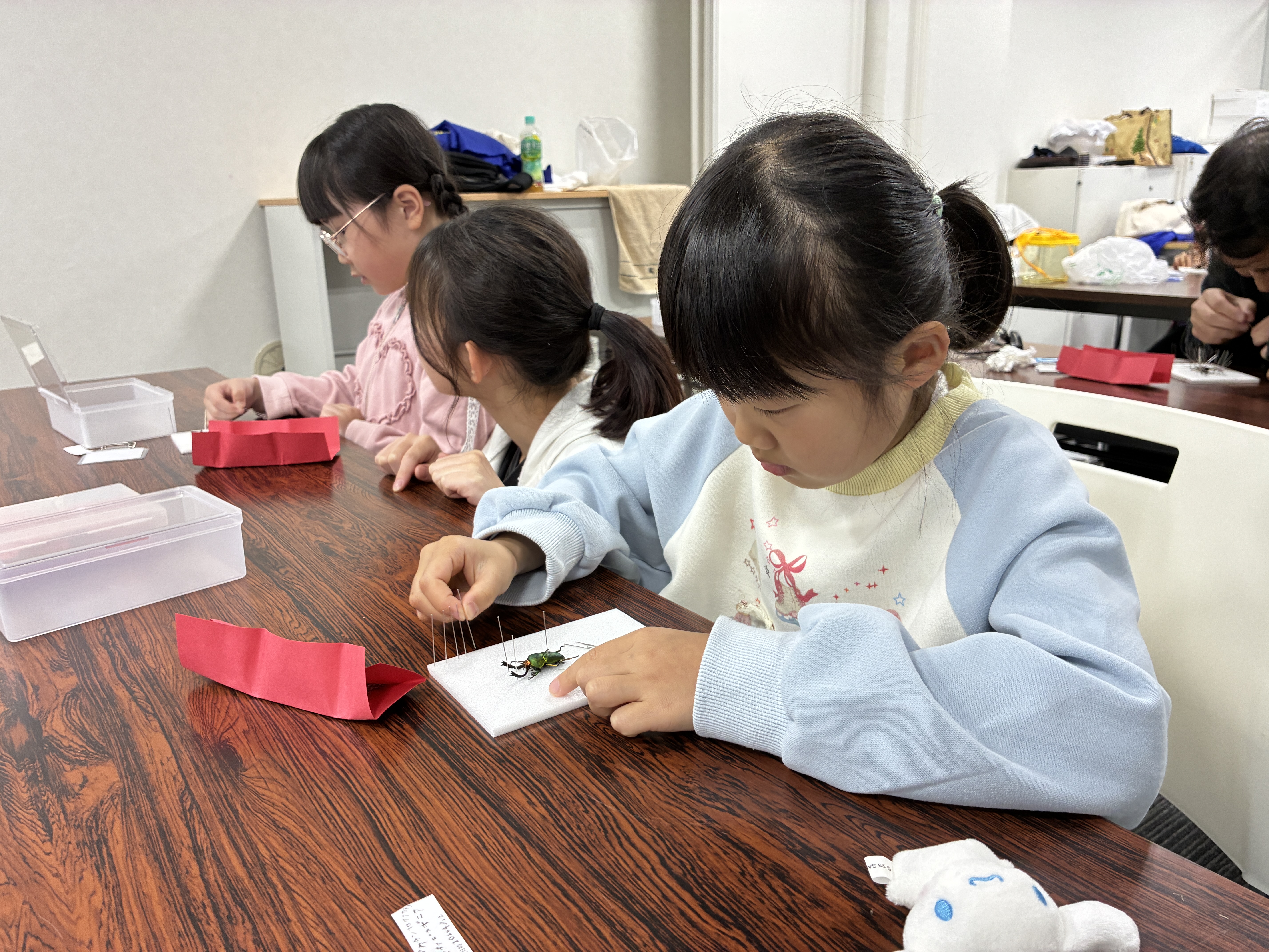 11/15出発 ファーブル昆虫教室in二子玉川【昆虫研究編・ベーシックコース】
