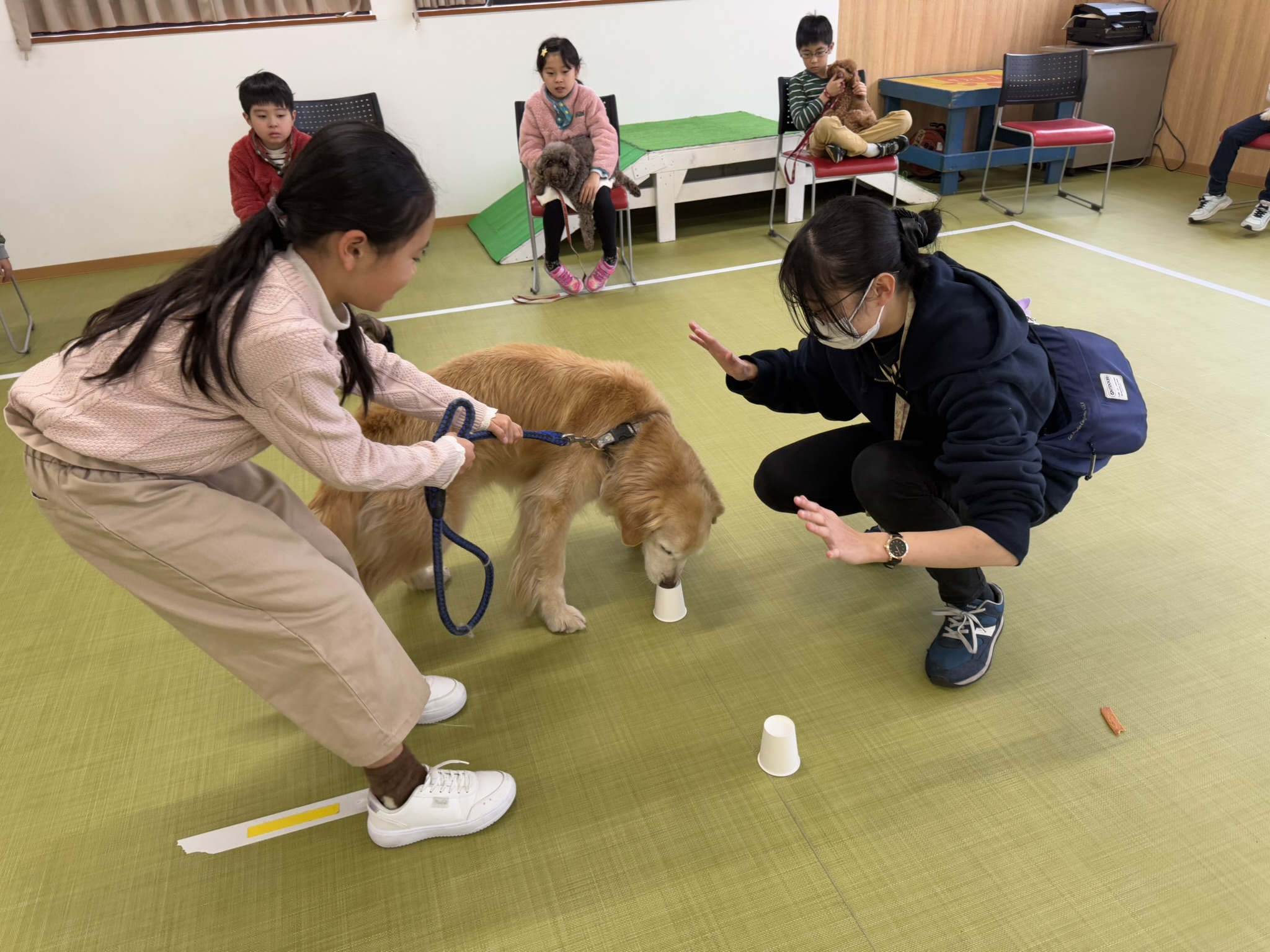 11/1出発 救助犬トレーナー体験スクール