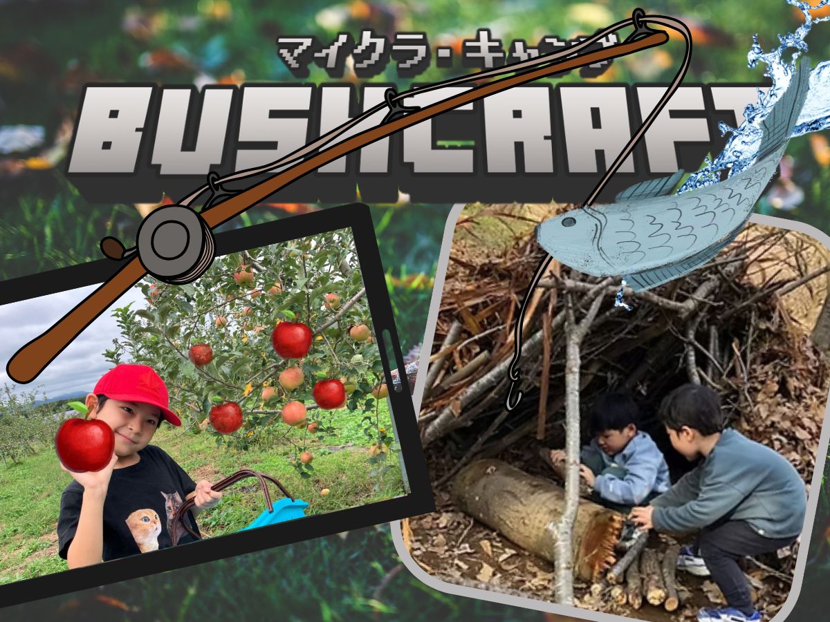 11/22出発 マイクラ・キャンプ【秋のハーベストクエスト 編】