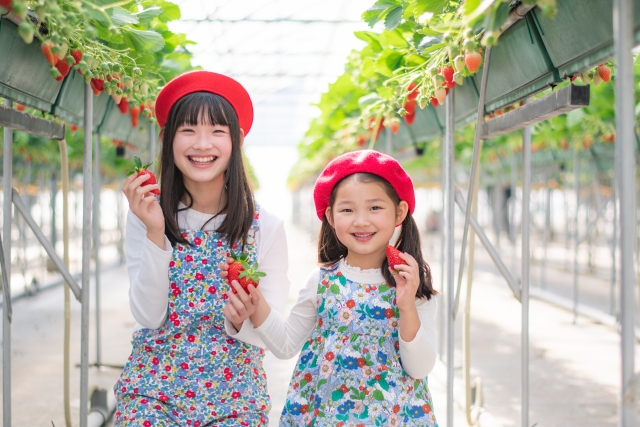 1/25出発 冬の1dayキャンプ【うどん作り体験＆いちご狩り＆マス釣り編】
