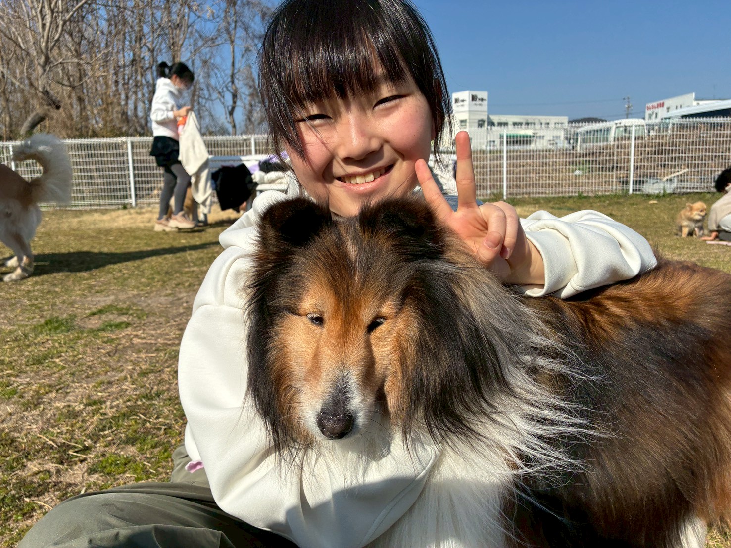 1/9出発 【1人1頭】救助犬トレーナー体験スクール【2泊3日】