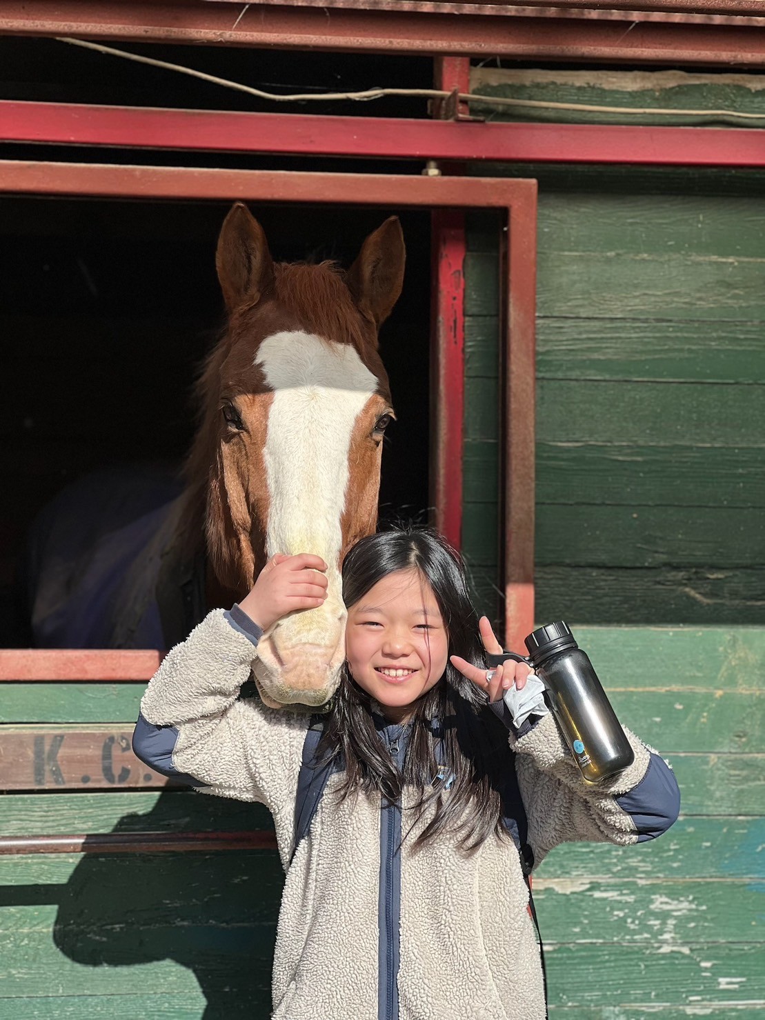 1/4出発 ウエスタン乗馬体験スクール【アルテミス編】【3泊4日】