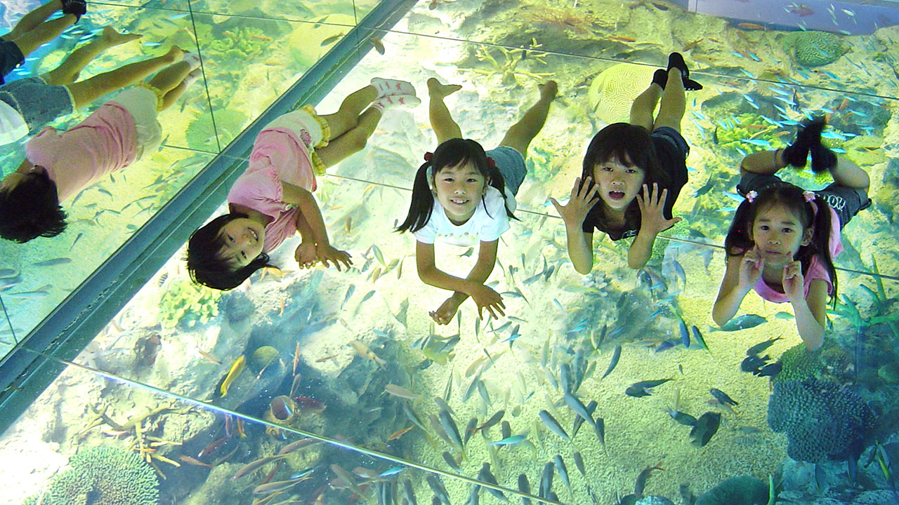 10/26出発 STS貸切で泊まろう！水族館お泊りツアー