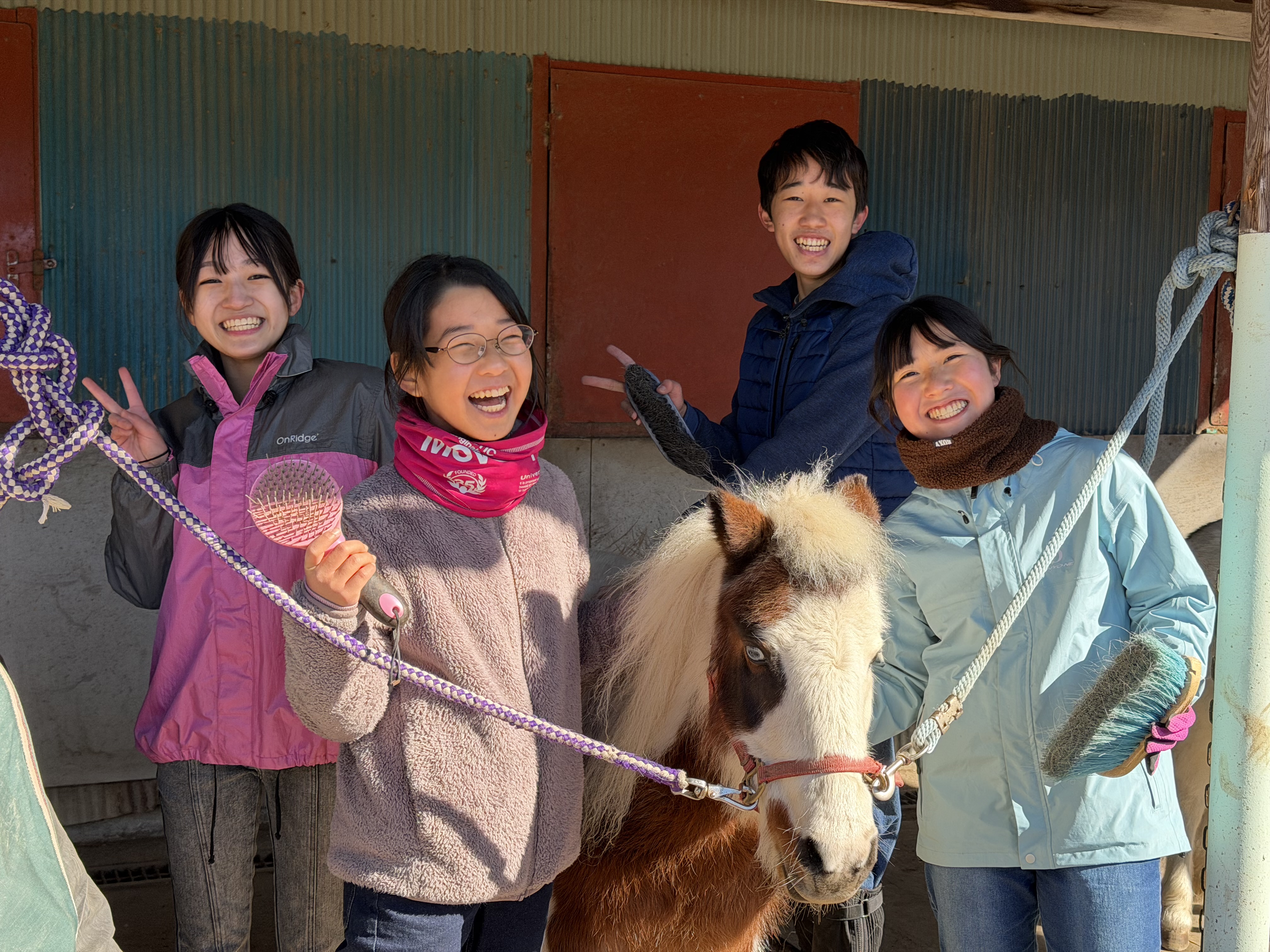 1/3出発 ウエスタン乗馬体験スクール【アルテミス編】【2泊3日】