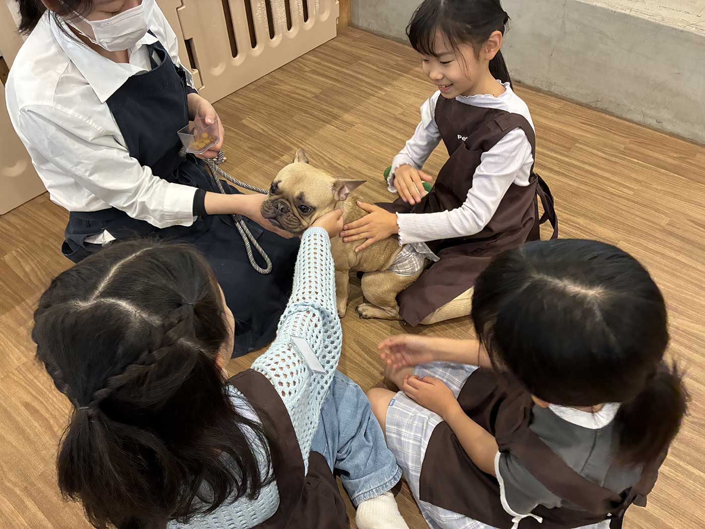 10/4出発 犬と人の絆を深める！ドッグカフェでお仕事体験ツアー