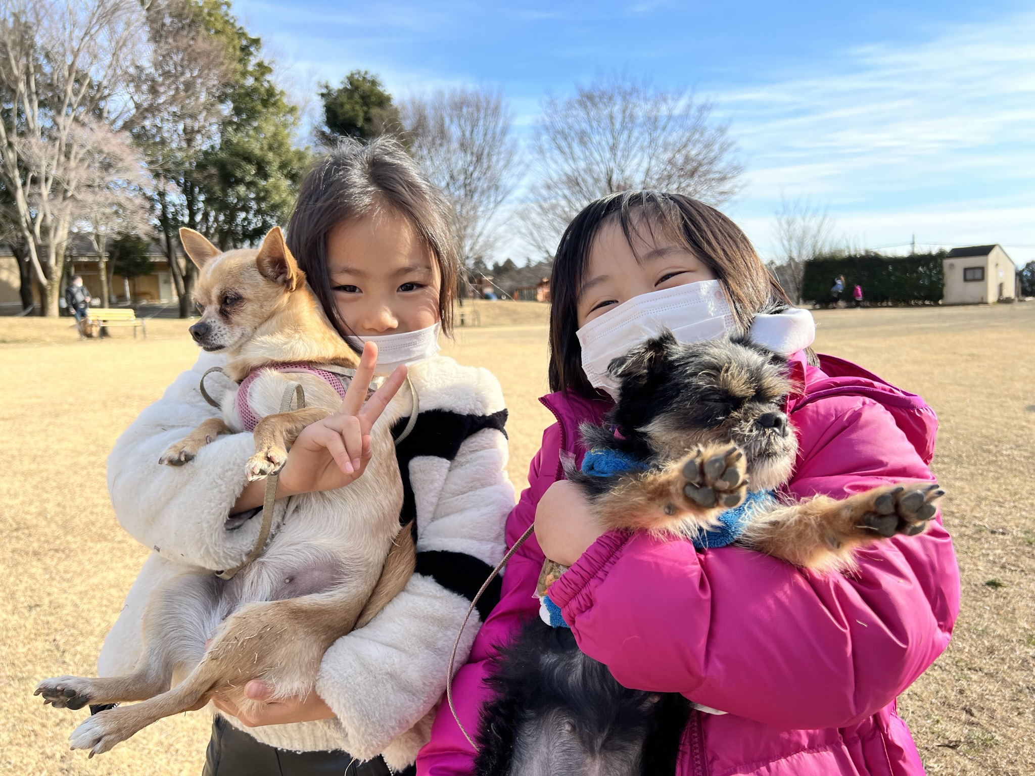 1/18出発 10名限定1人1頭 冬のスペシャル犬キャンプ