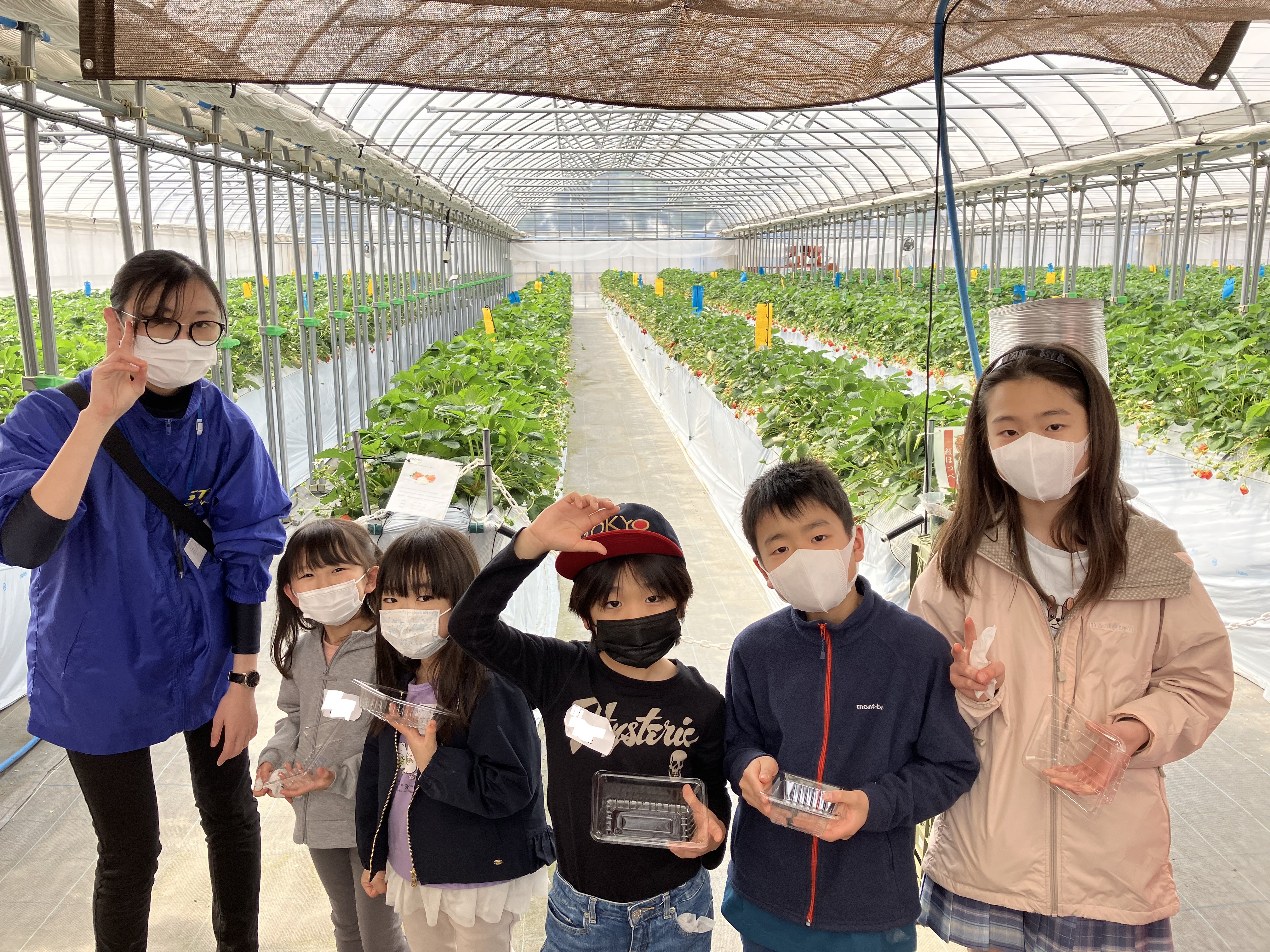 3/8出発 春の1dayキャンプ【いちご狩り＆立体迷路チャレンジ編】