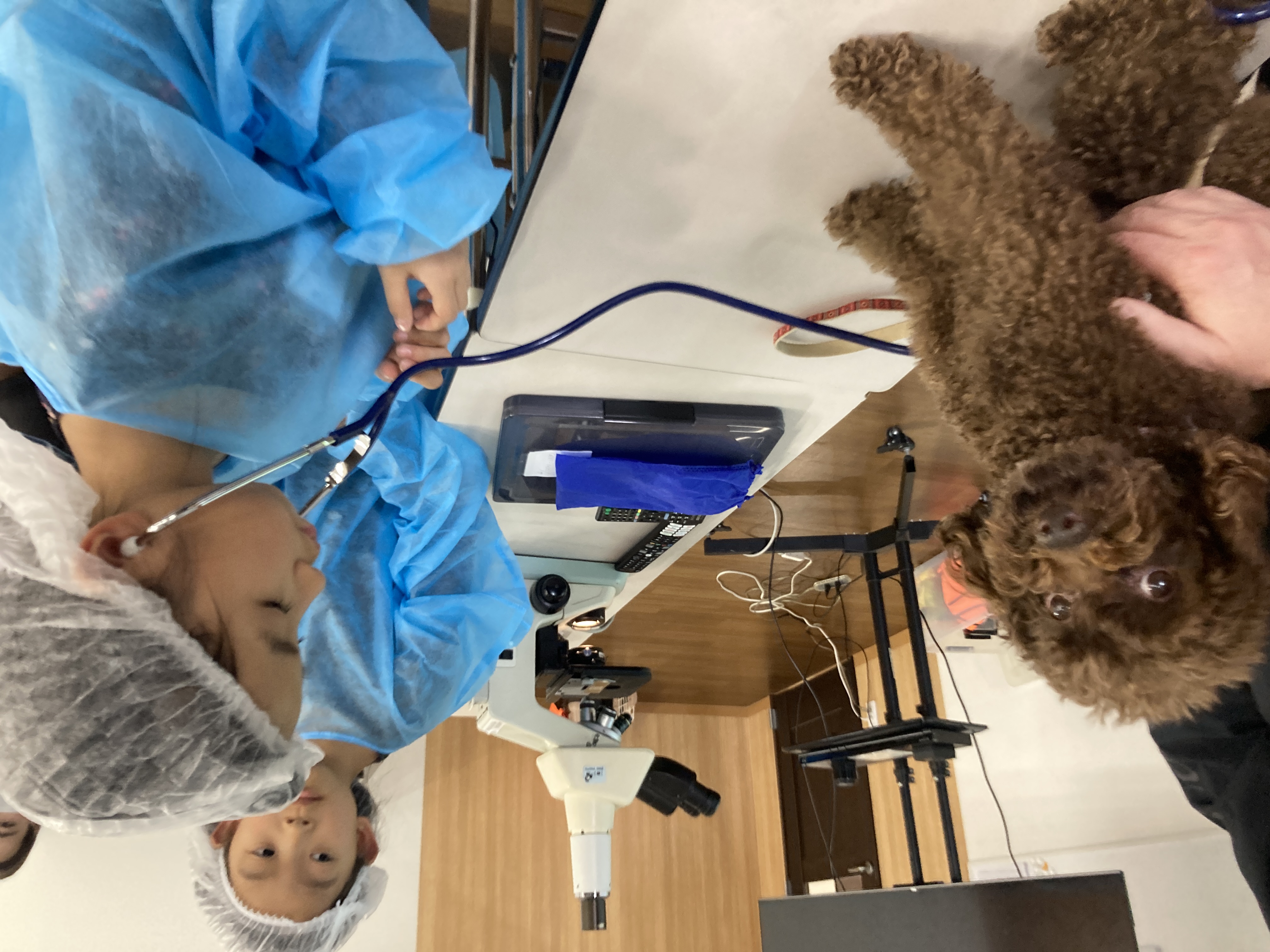 4/11出発 獣医さん体験スクール