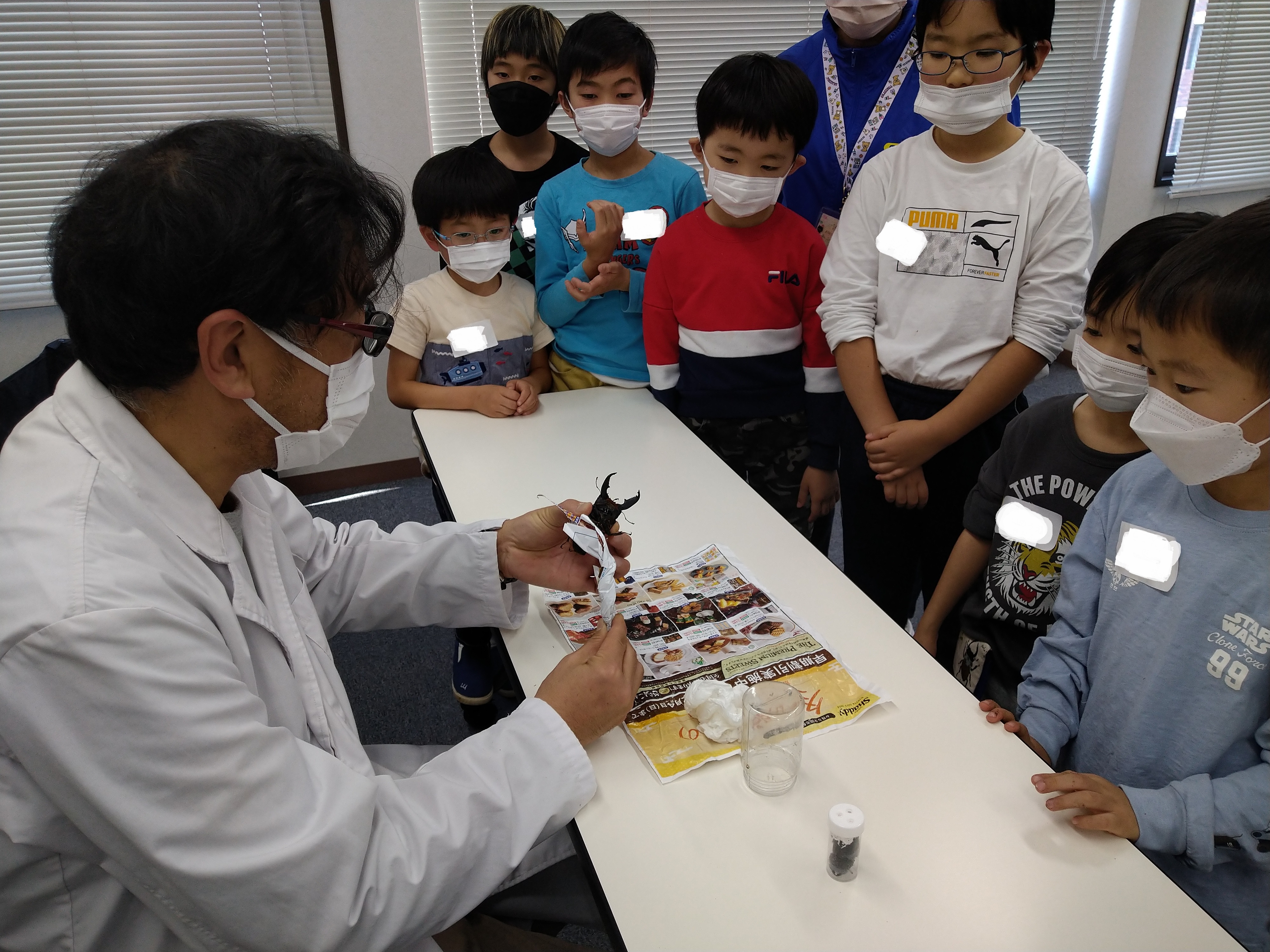 3/8出発 ファーブル昆虫教室【オオククワガタ編】