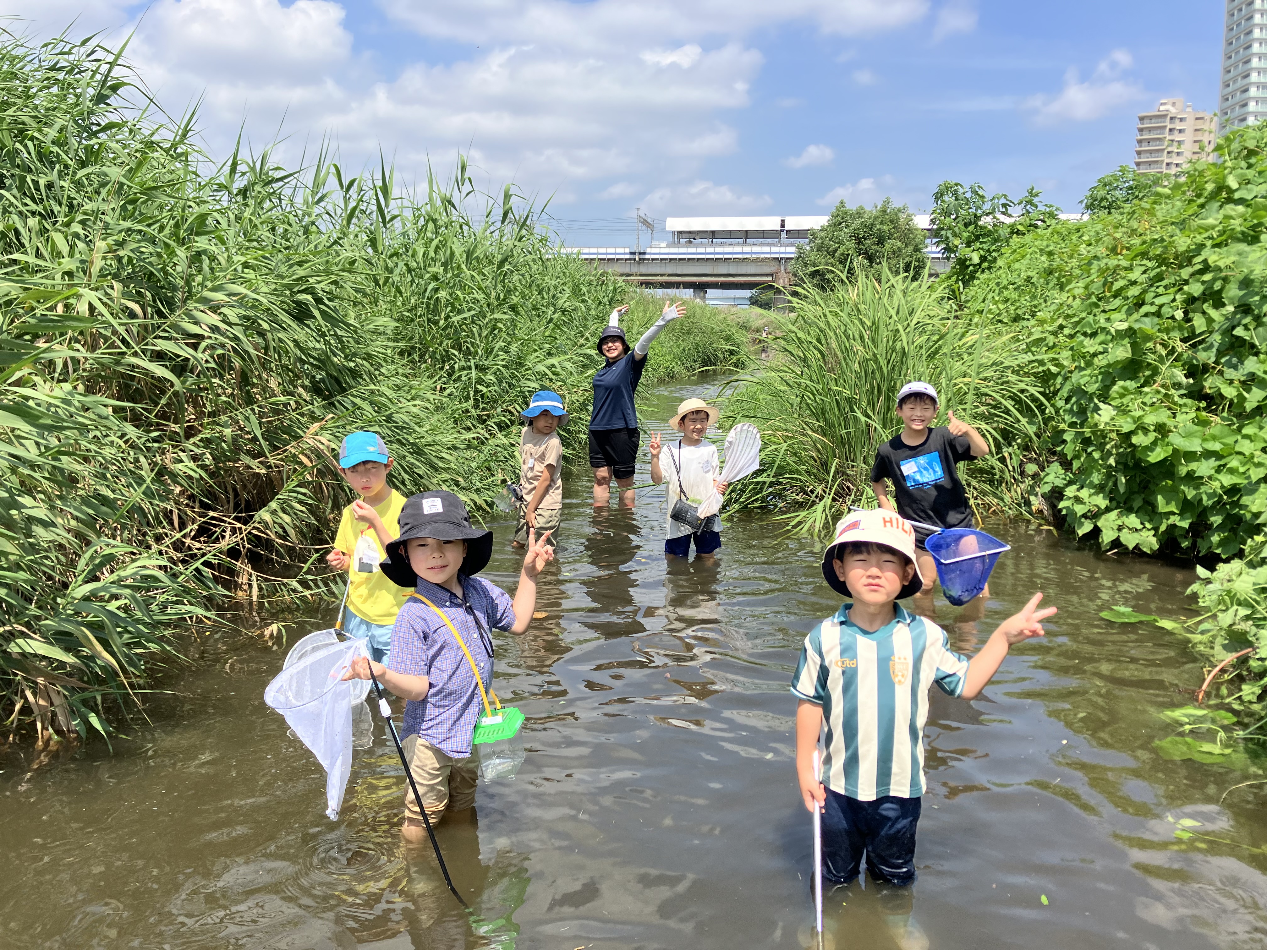 6/20出発 昆虫博士キャンプ【ホタル観察＆川の生態調査＆昆虫標本】