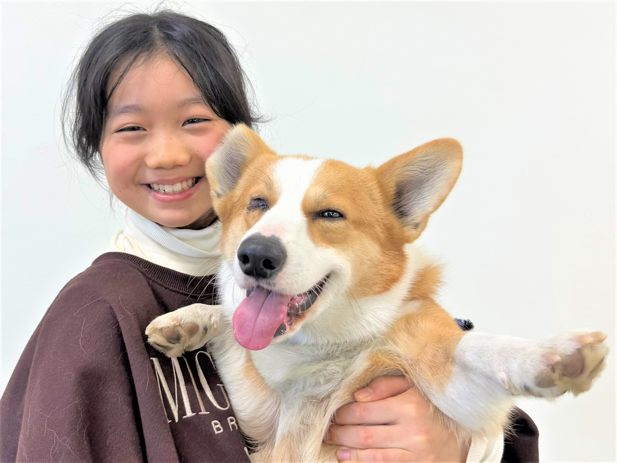 3/20出発 【1人1頭】救助犬トレーナー体験スクール