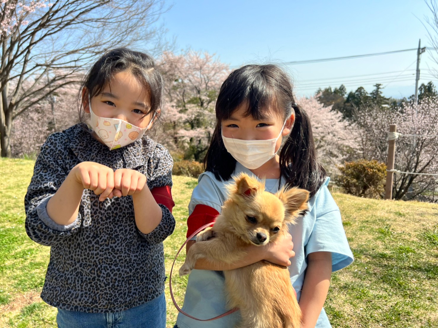 3/20出発 1人1頭 わんわんふれあいスクール